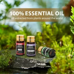 Essential Oil Set - Essential Oils 36 x 5ML - Essential Oils Gift Set for Diffuser, Humidifier, Soap, Candle, Bath Bombs Making, Halloween, Christmas