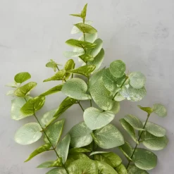 Eucalyptus Branch by Ashland®