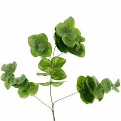 Eucalyptus Branch by Ashland®