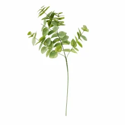 Eucalyptus Branch by Ashland®