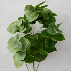 Eucalyptus Branch by Ashland®