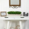 8" Eucalyptus in Decorative Planter