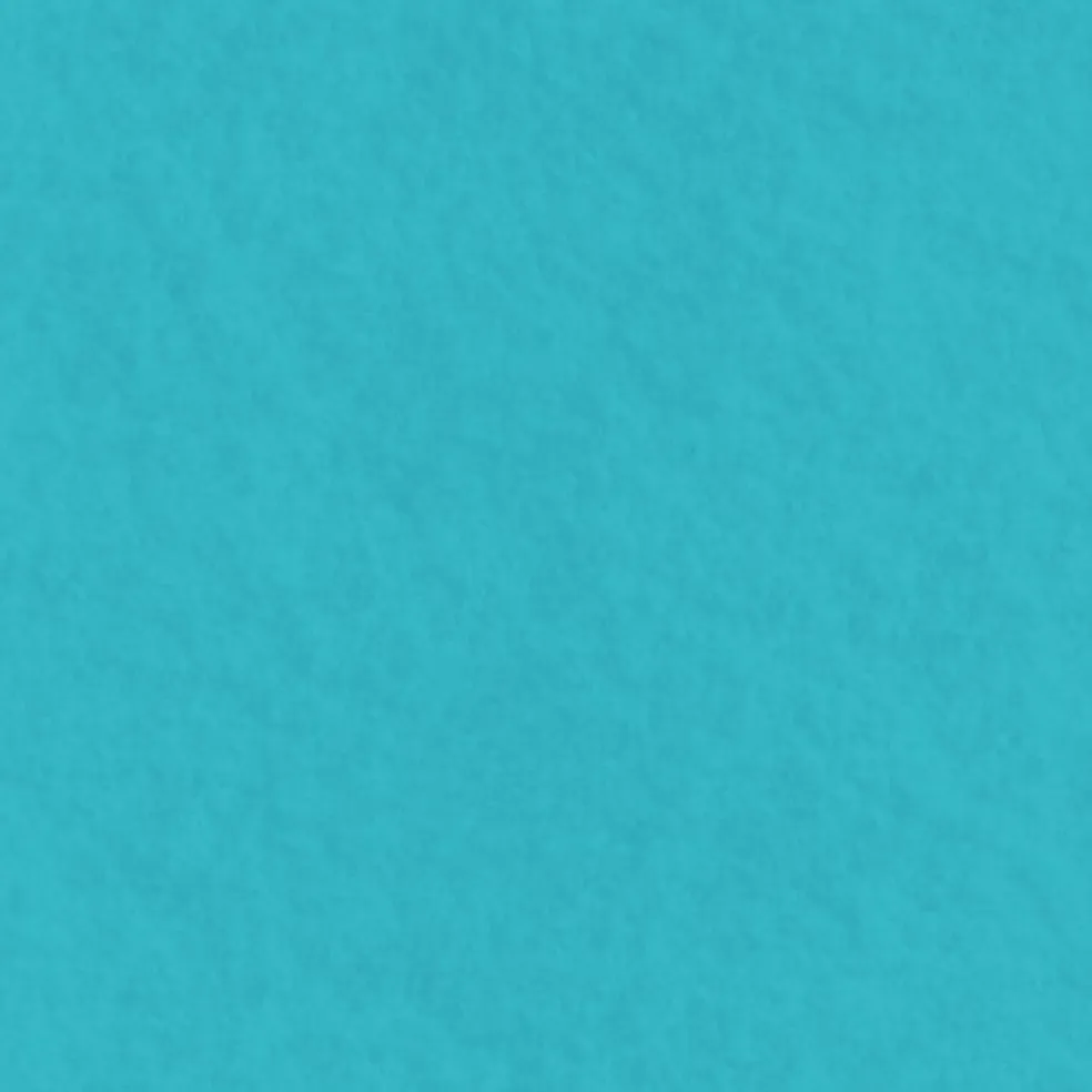 Eugene Textiles Felt