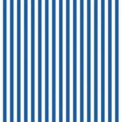 Eugene Textiles Stripes Print Craft Fabric