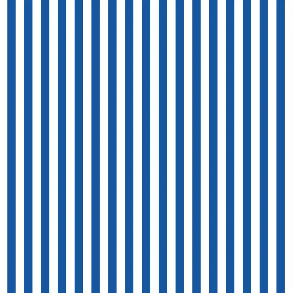 Eugene Textiles Stripes Print Craft Fabric