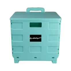 Everything Mary Collapsible Rolling Cart with Lid
