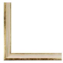 Expressions™ Cream & Gold Leaf Frame by Studio Décor®