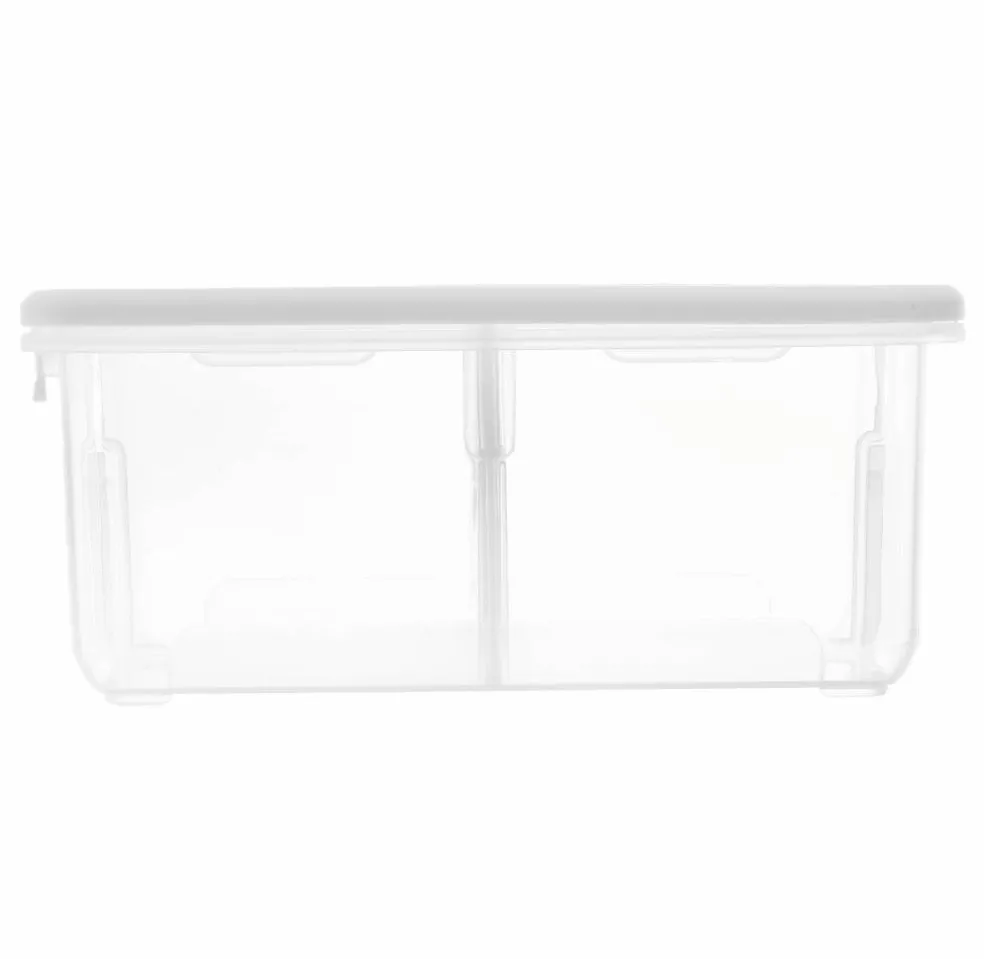 Ezy Storage 4-Compartment Storage Box