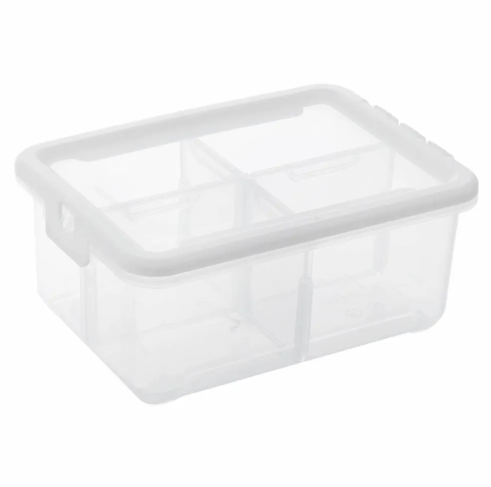 Ezy Storage 4-Compartment Storage Box