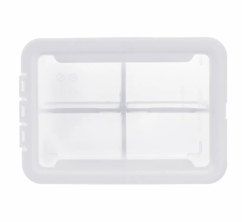 Ezy Storage 4-Compartment Storage Box