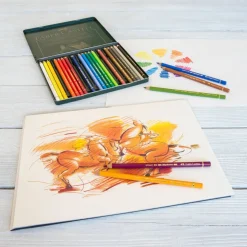 Faber-Castell Polychromos 24 Color Pencil Set