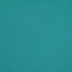 Fabric Merchants Solid Cotton Jersey Knit Fabric
