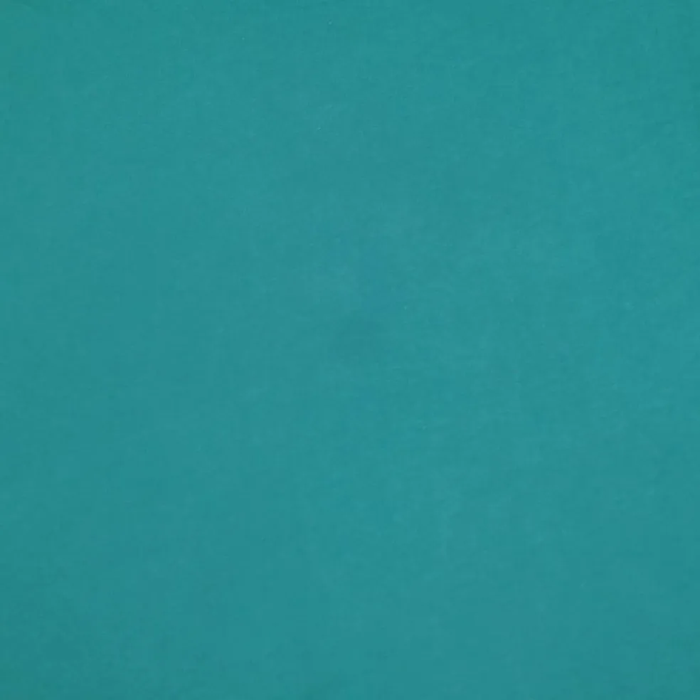 Fabric Merchants Solid Cotton Jersey Knit Fabric