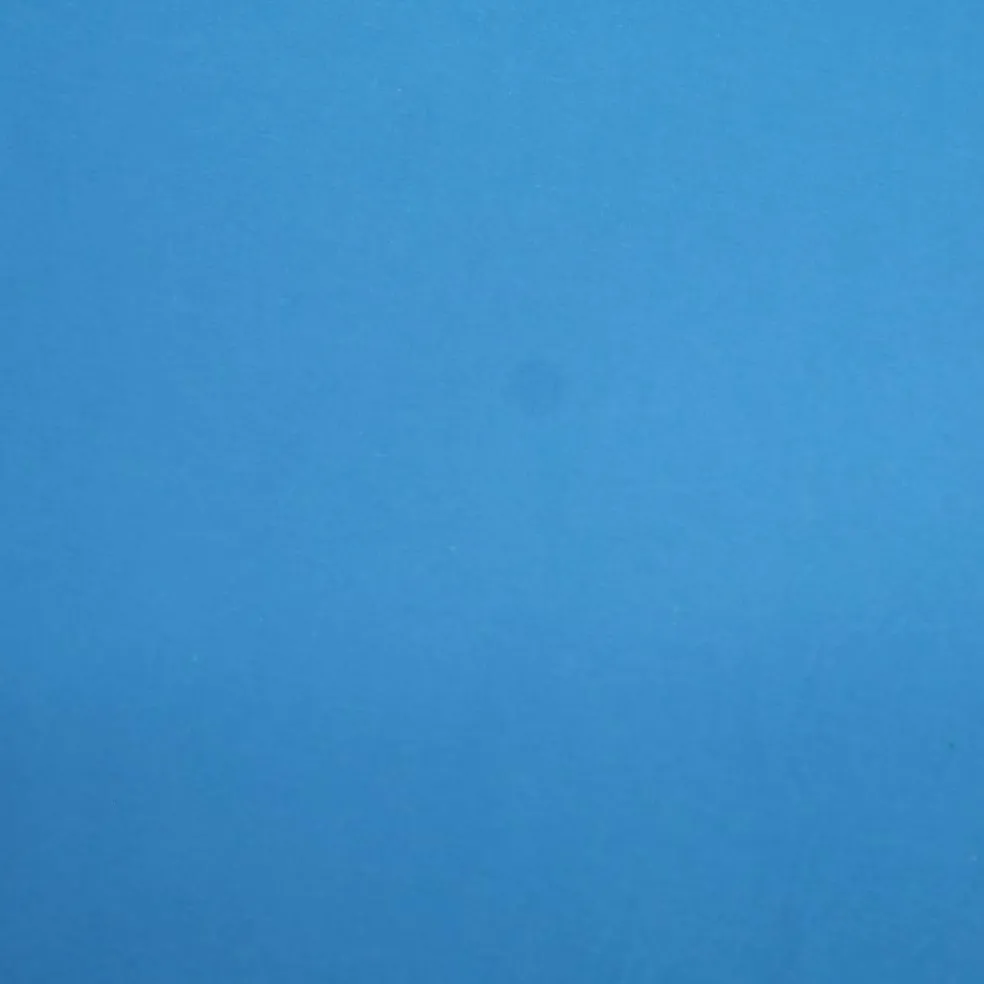Fabric Merchants Solid Cotton Jersey Knit Fabric