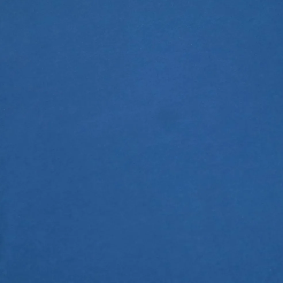 Fabric Merchants Solid Cotton Jersey Knit Fabric