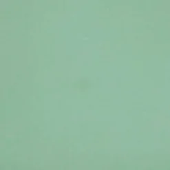 Fabric Merchants Solid Cotton Jersey Knit Fabric