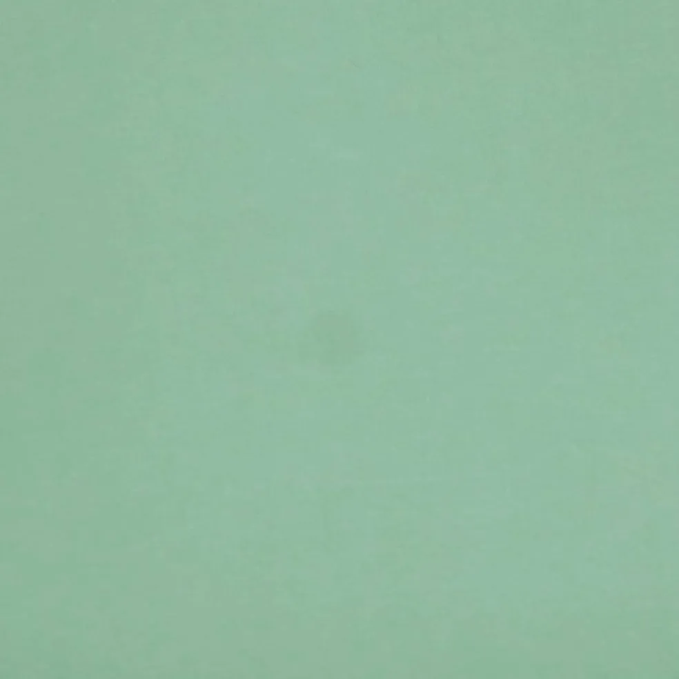 Fabric Merchants Solid Cotton Jersey Knit Fabric