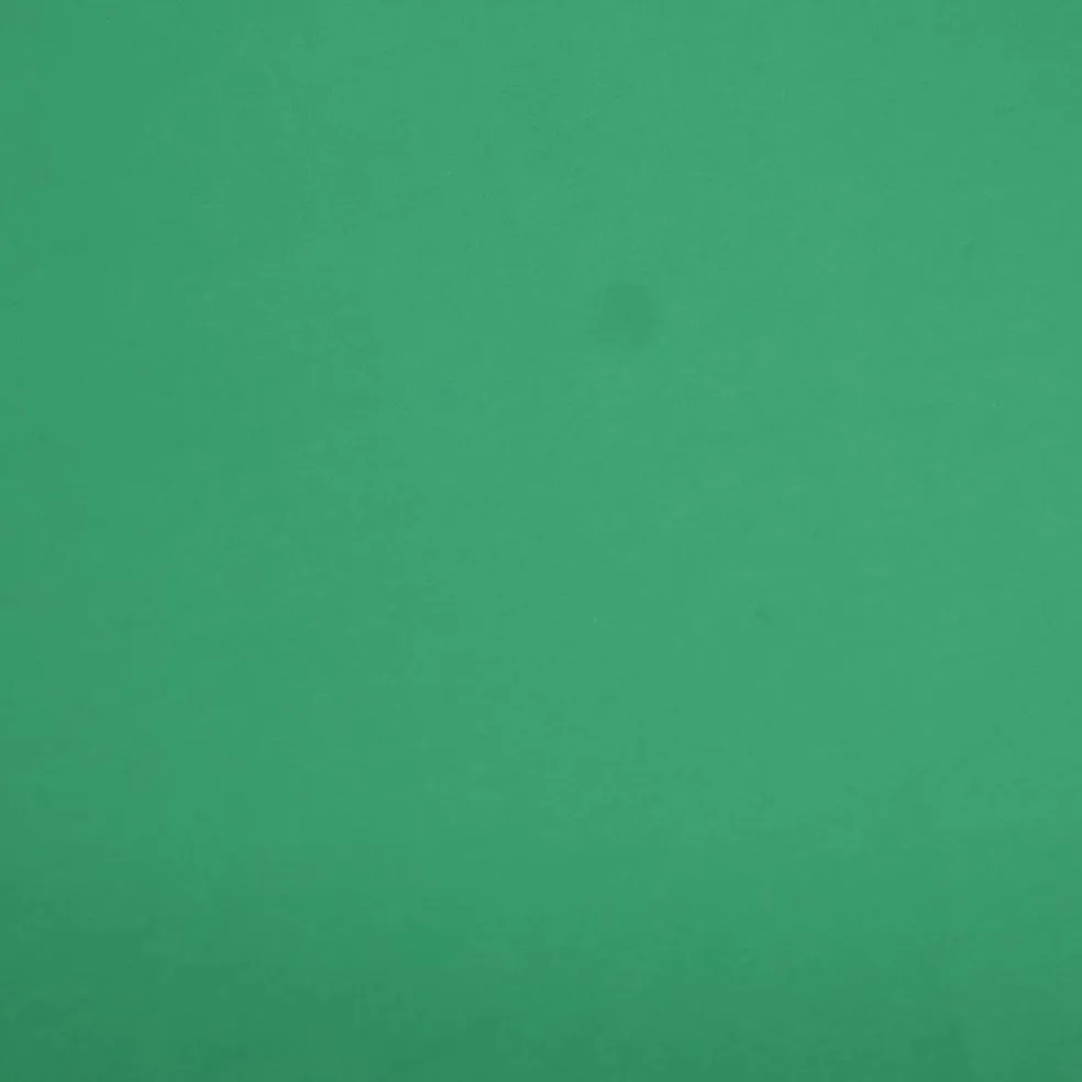 Fabric Merchants Solid Cotton Jersey Knit Fabric