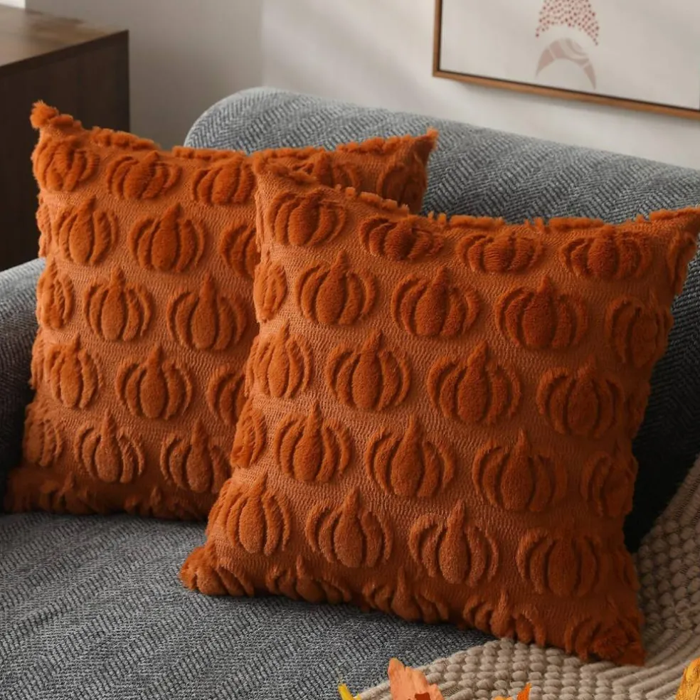 Fall Pillow Covers 18x18 2Pcs Rust Pumpkin Fall Decorations for Home