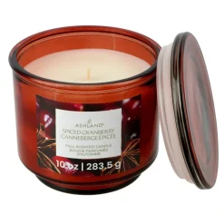 Fall Scented Jar Candle by Ashland®