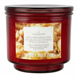 Fall Scented Jar Candle by Ashland®