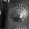 Fancy Shells Chocolate Mold