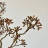 38" Faux Brown Sedum Berry Branch