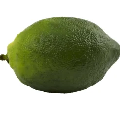 Faux Limes, 12ct.