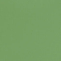 Feldman Solid Broadcloth Fabric