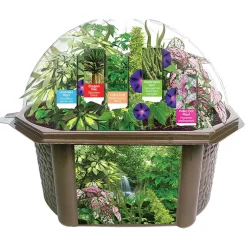 Fernroot Rainforest Biosphere Set