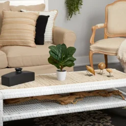 11" Fiddle Leaf Fig Plant in Decorative White Planter
