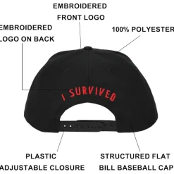 Five Nights At Freddy’s I Survived Black Flat Bill Baseball Cap