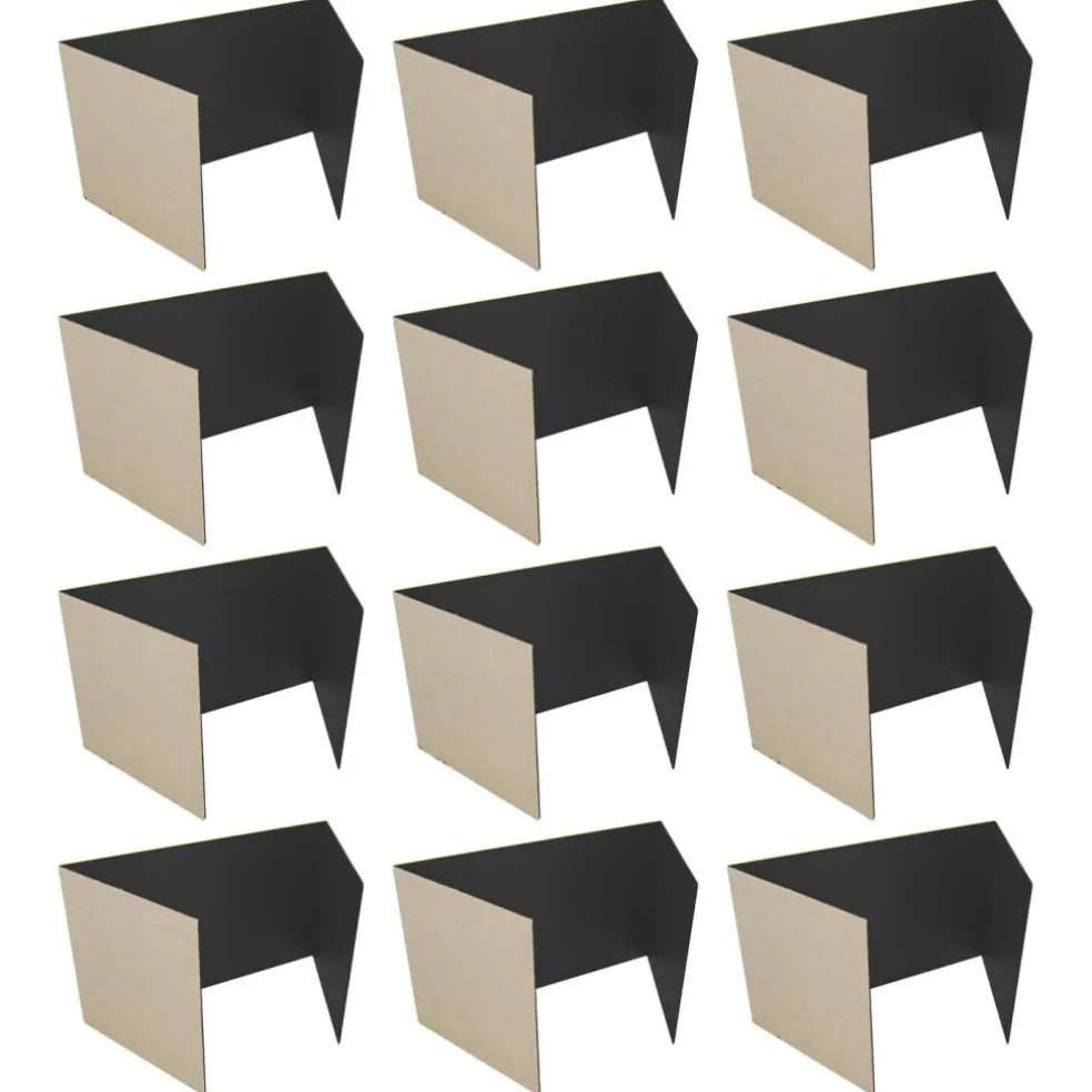 Flipside Products 18”x 48” Study Carrels, Privacy Boards, Student Privacy and Focus Booth for The Classroom, Desk Divider