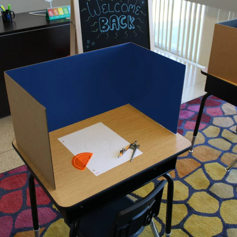 Flipside Products 18”x 48” Study Carrels, Privacy Boards, Student Privacy and Focus Booth for The Classroom, Desk Divider