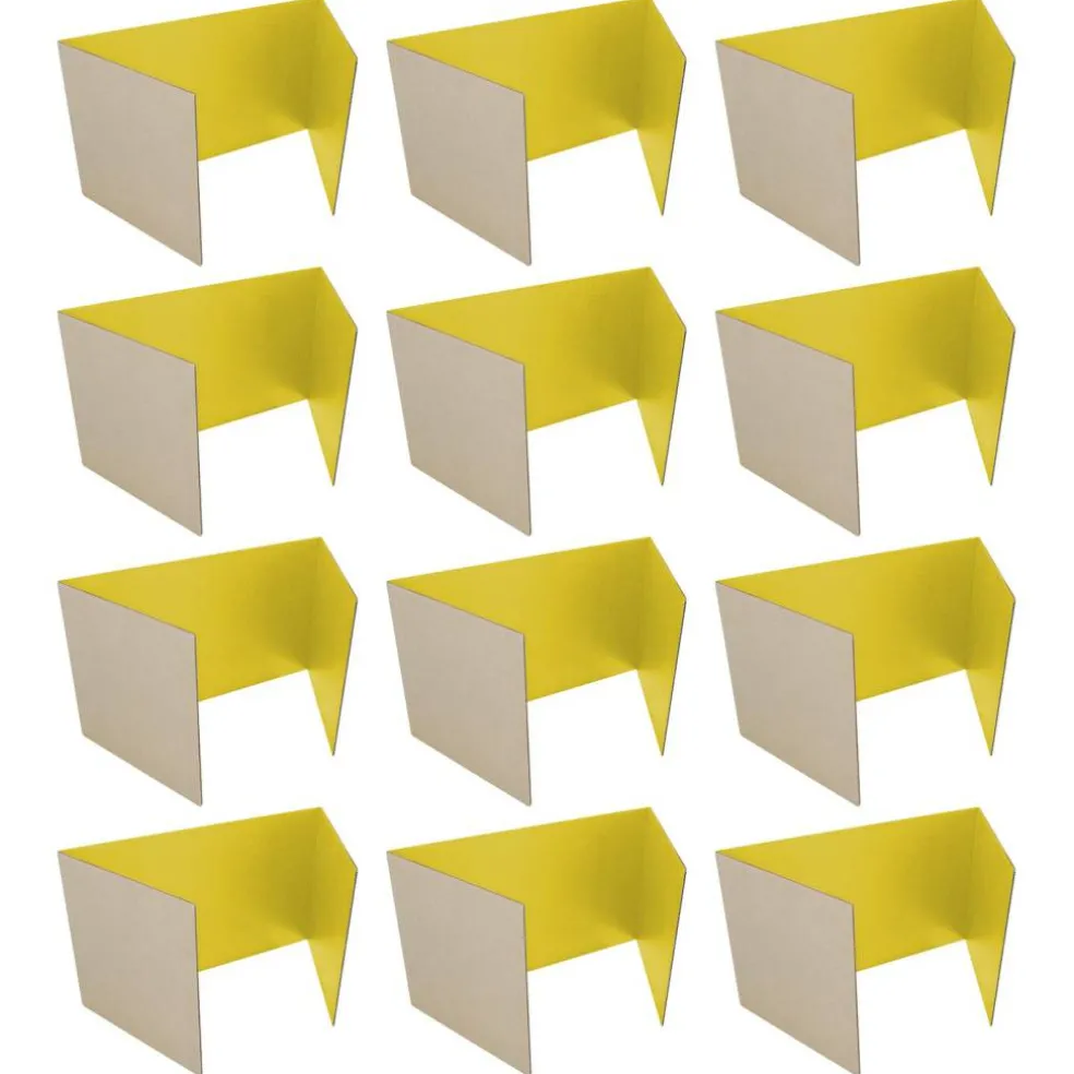 Flipside Products 18”x 48” Study Carrels, Privacy Boards, Student Privacy and Focus Booth for The Classroom, Desk Divider