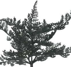12" Flocked Fern Pick by Ashland®