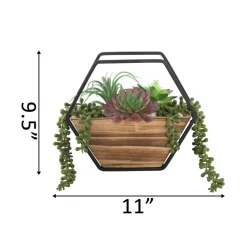 Flora Bunda® 11" Succulent Arrangement in Hexagon Wood & Metal Wall Accent