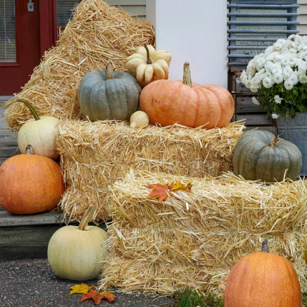 FloraCraft® Decorative Straw Bale