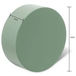 FloraCraft® DryFōM Disc Green