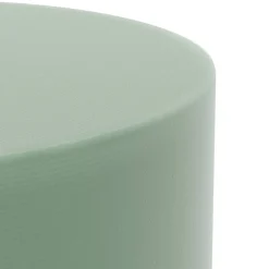 FloraCraft® DryFōM Mug Plug Green