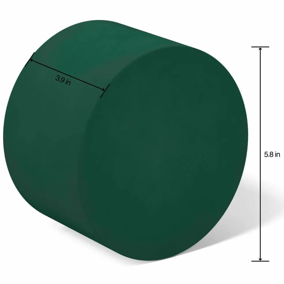 FloraCraft® 5.75" Green Artesia WetFōM® Disc