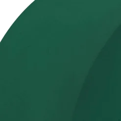FloraCraft® 3" x 5" Green Artesia WetFōM® Disc