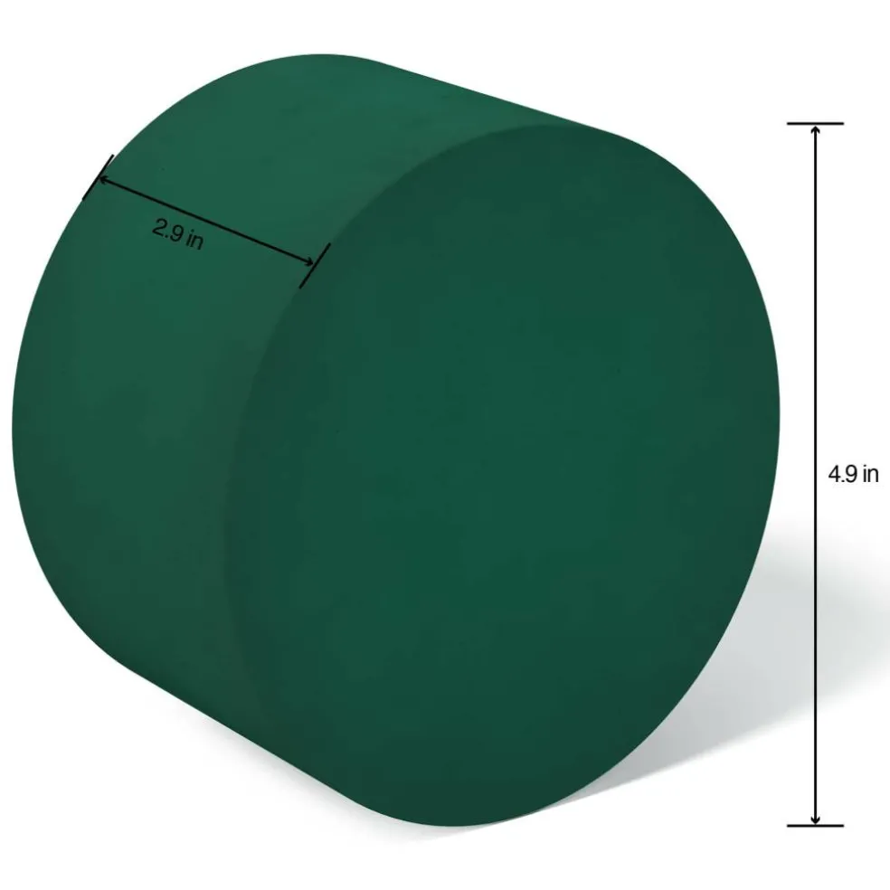 FloraCraft® 3" x 5" Green Artesia WetFōM® Disc