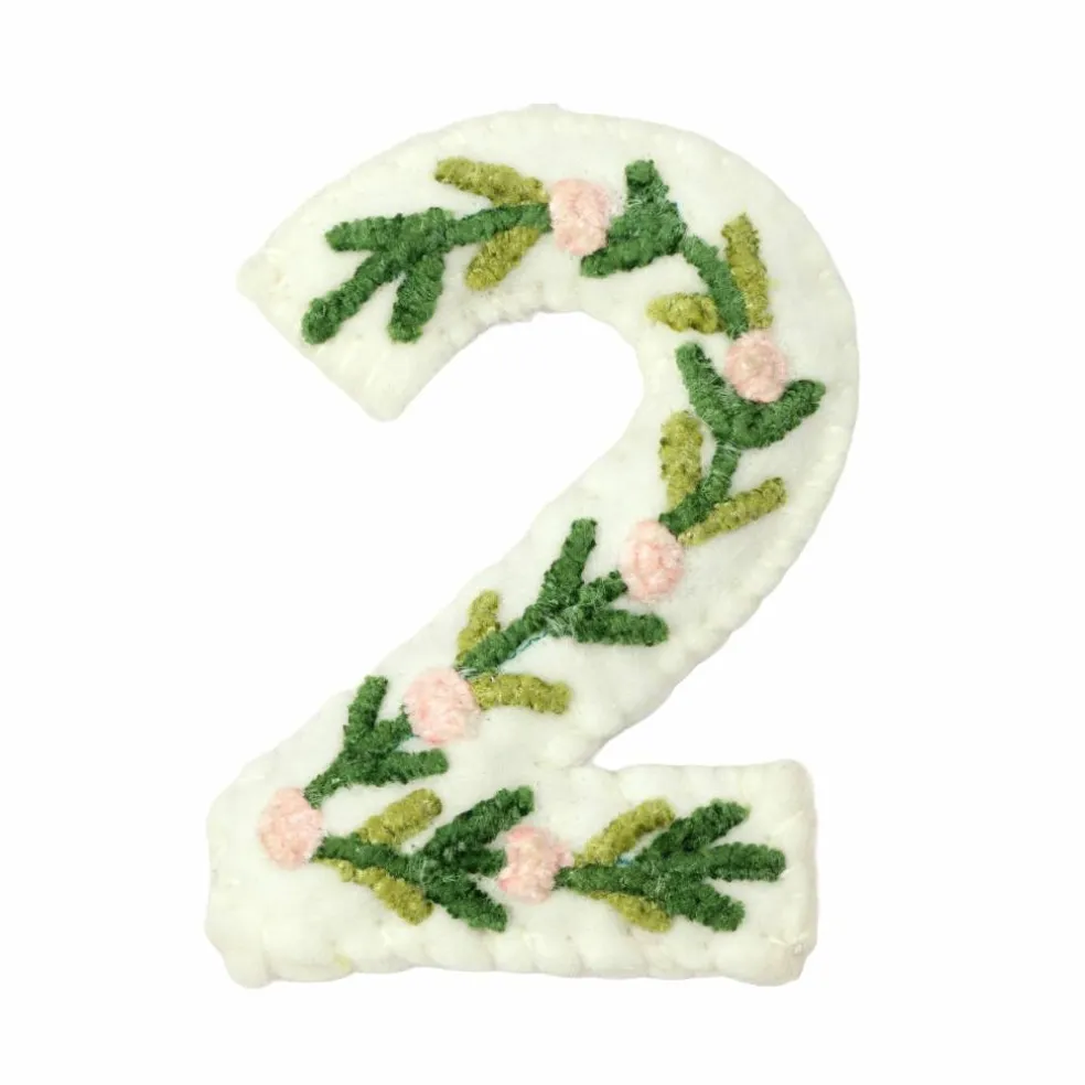 4" Floral Embroidered Puffy Number by Celebrate It™