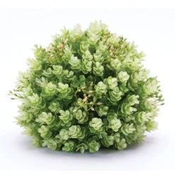 Foliage Half Orbs, 2ct.