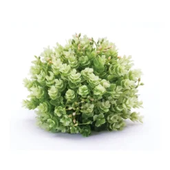 Foliage Half Orbs, 2ct.
