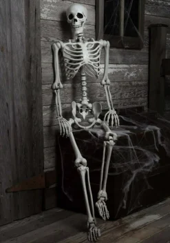 5 Foot Posable Georgie the Skeleton Life Size Prop
