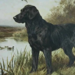 Framed Black Lab Wall Décor by Ashland®