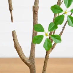 5ft. Artificial Dogwood Tree with Real Touch Leaves