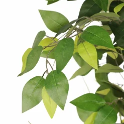 6ft. Artificial Ficus Microcarpa Tree in White Decorative Pot